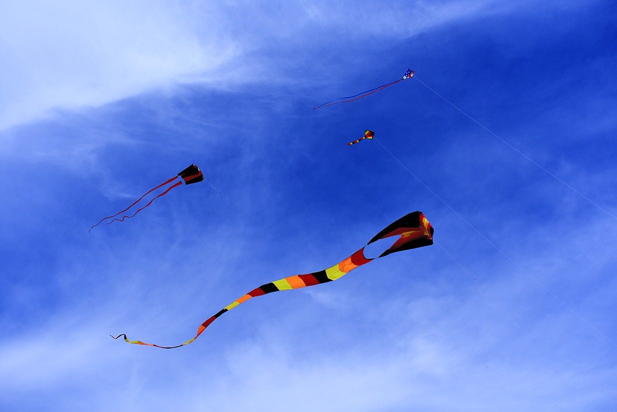 Kites flying in a clear blue sky over South Portland